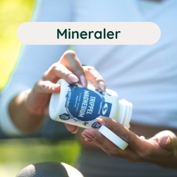 Mineraler